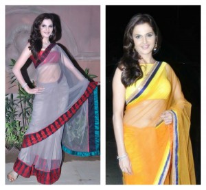 Monica Bedi in saree