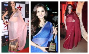 Monica Bedi in georgette sarees
