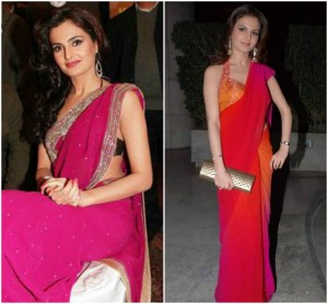 Monica Bedi saree