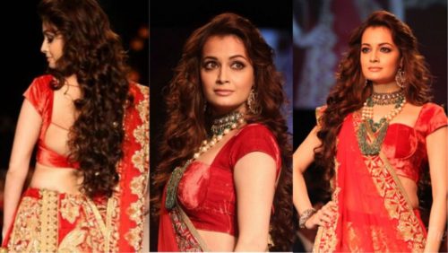 Diya Mirza in velvet designer blouse