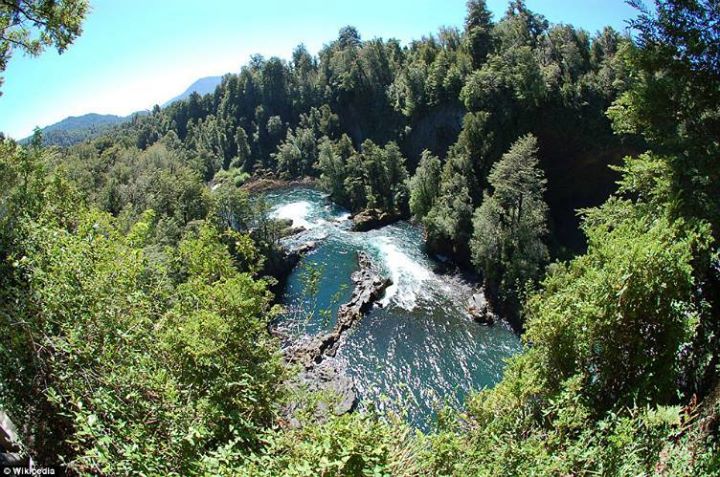 The Magic Mountain Hotel