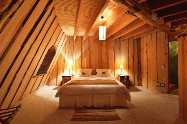 11220817_937615233002094_2819284140360156399_n