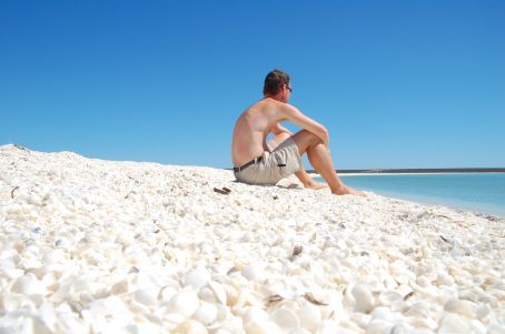 Shell Beach