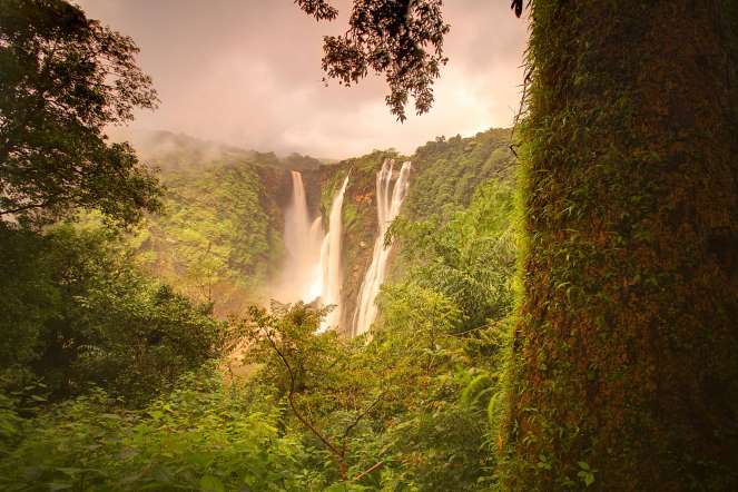 Jog falls