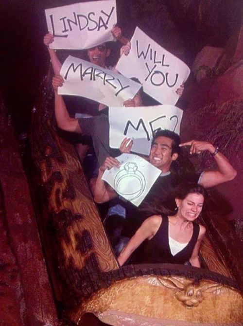 Roller coaster proposals