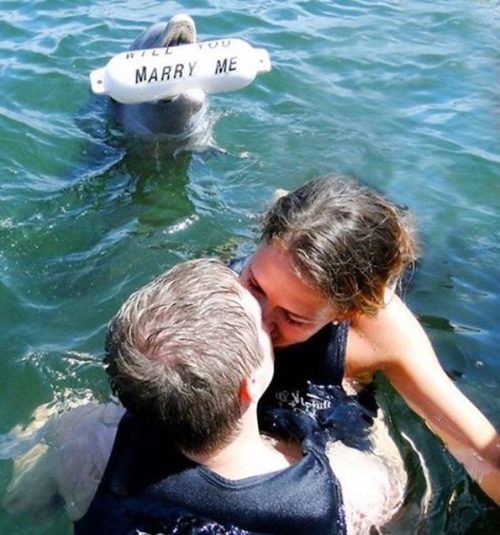 Scuba Diving Romantic Proposal