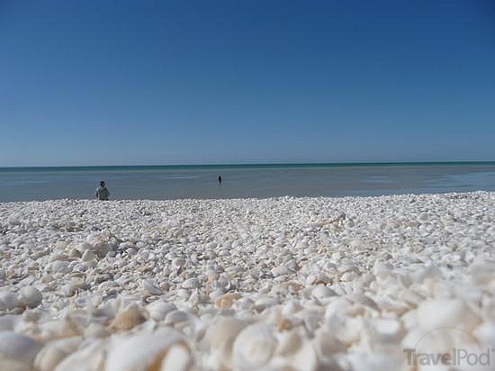 Shell Beach