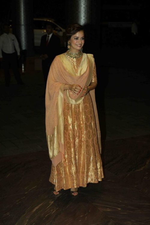 Diya Mirza in Reception Salwar Kameez