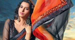 Dilwale movie saree kajol