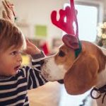 Birthday gift for boys -Pet Gift