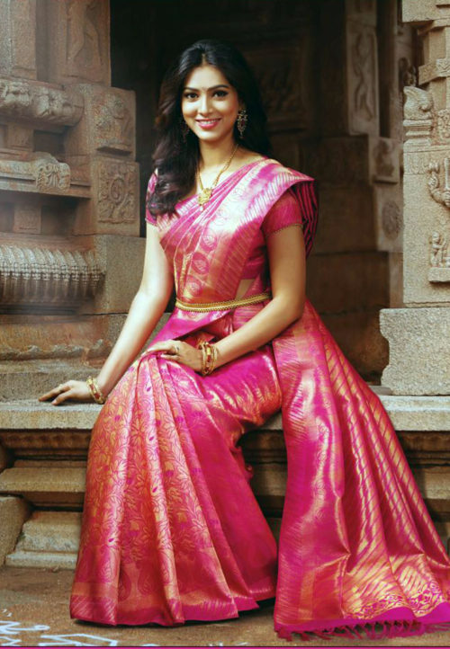 Modern Kanchipuram Silk Saree