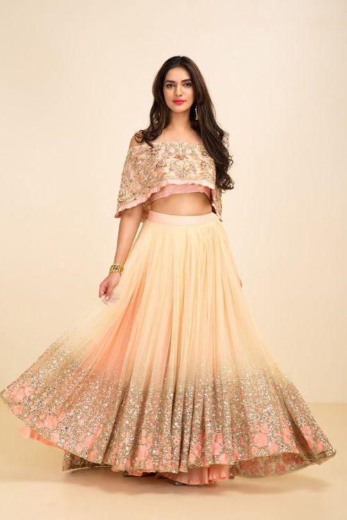 cape with lehenga and blouse