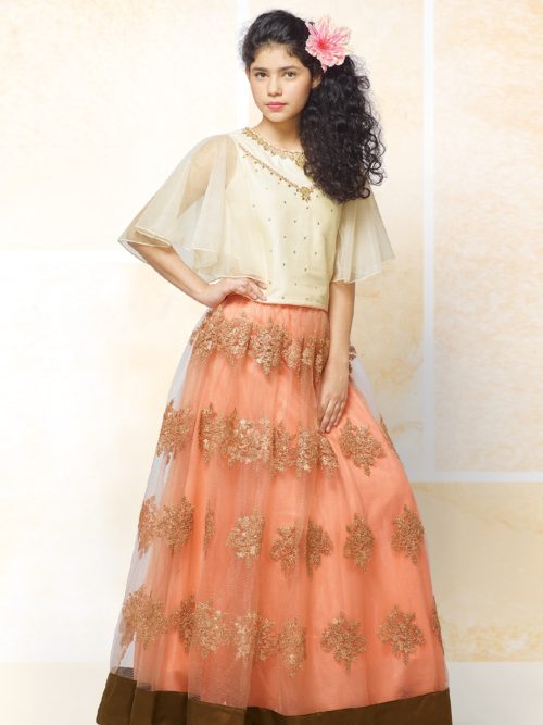 Girls Net lehenga choli