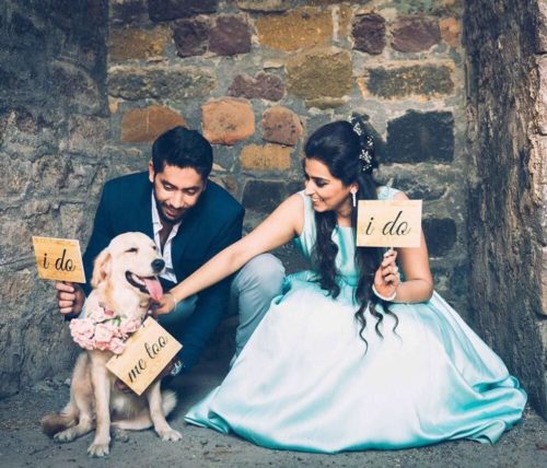 pet lover pre-wedding photography