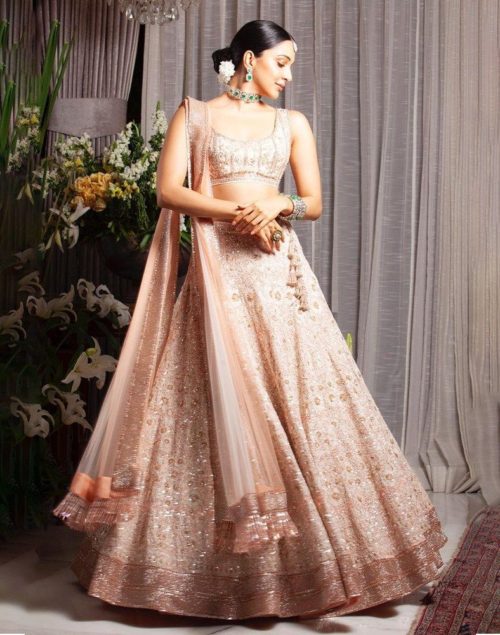 View all Peach lehenga choli Peach lehenga choli