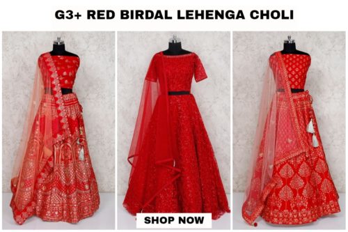 View all Red Bridal lehenga choli Red Bridal lehenga choli