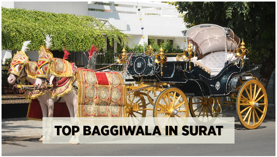 Top baggiwala in surat