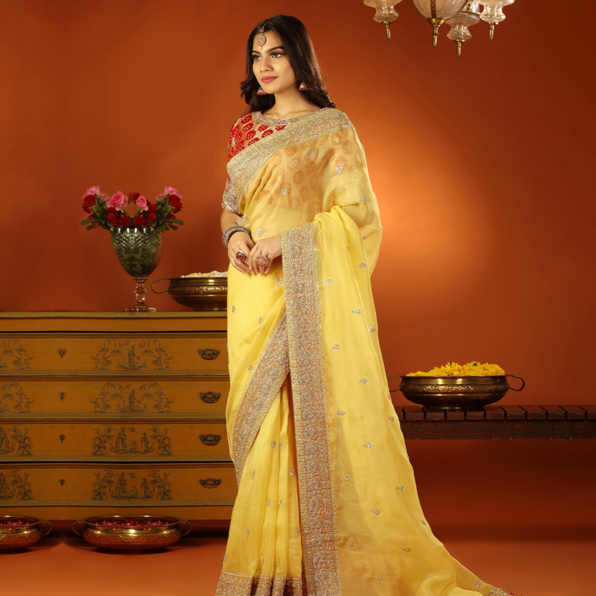organza saree