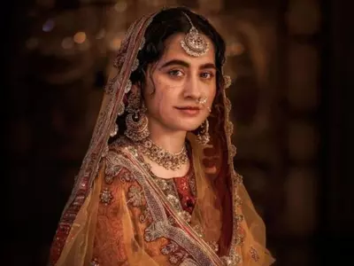 Gold Laces and Embroideries from Heeramandi Series