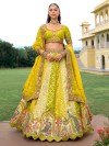 Light green silk zari worked lehenga choli