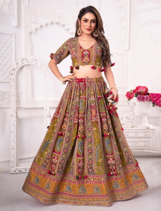Multi colour silk lehenga with elegant blouse