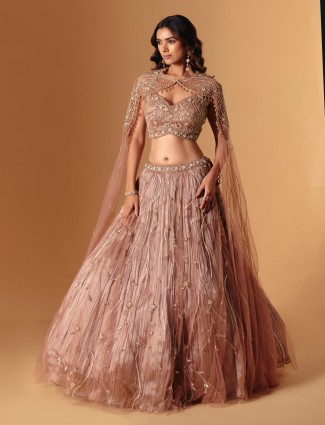 Royal brown net lehenga choli for timeless evenings