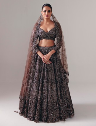 Dark brown net lehenga choli with dupatta