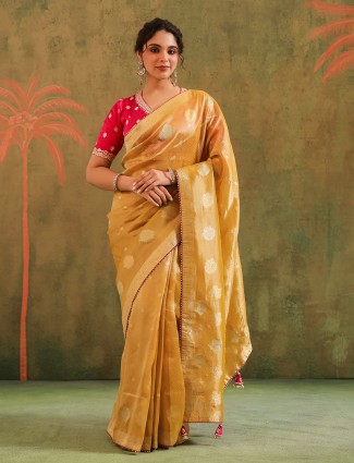 Golden radiance tissue silk saree with royal embellishments