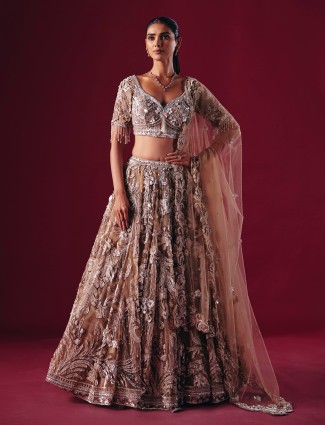 Beige net diamond embellished lehenga choli
