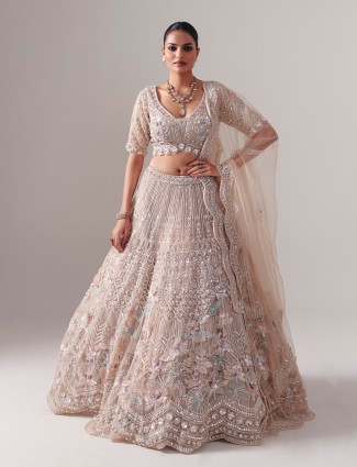 Beige net diamond pearl lehenga choli