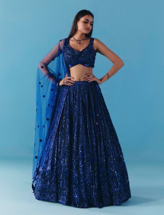 Blue net cutdana sequins lehenga choli