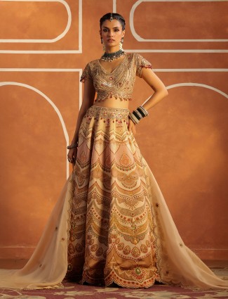 Blue lehenga choli in stunning silk